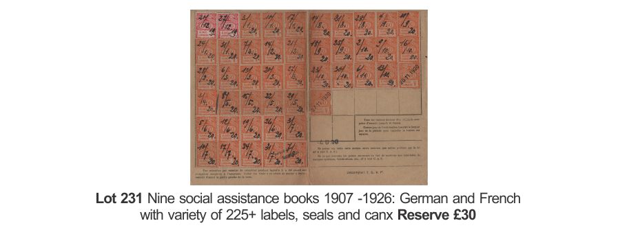 231